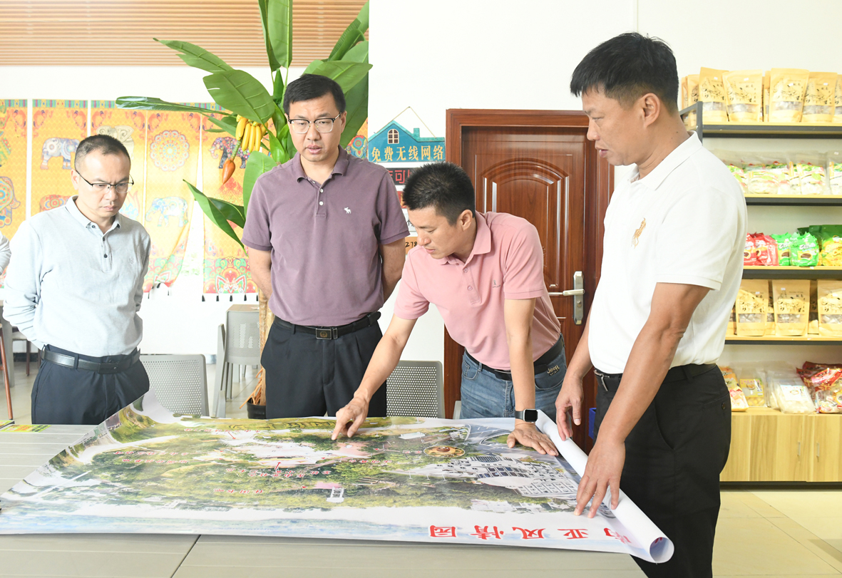 市政府主要領(lǐng)導(dǎo)調(diào)研典型鎮(zhèn)村建設(shè)情況